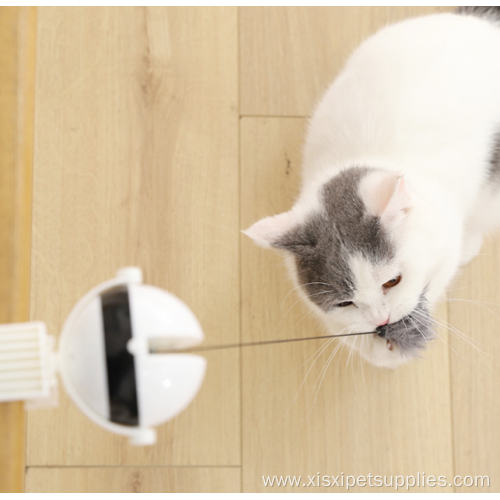 high quality electric interactive ball plastic cat toy